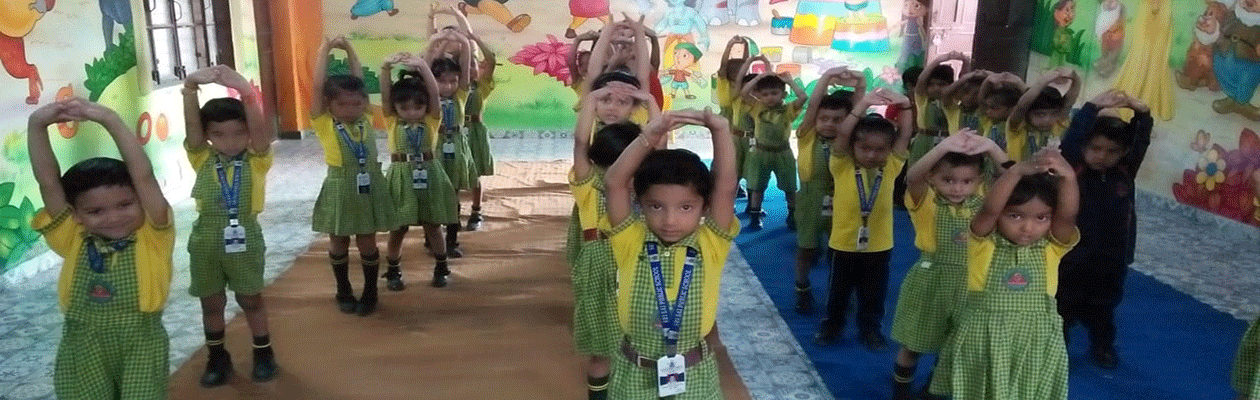 Education Background