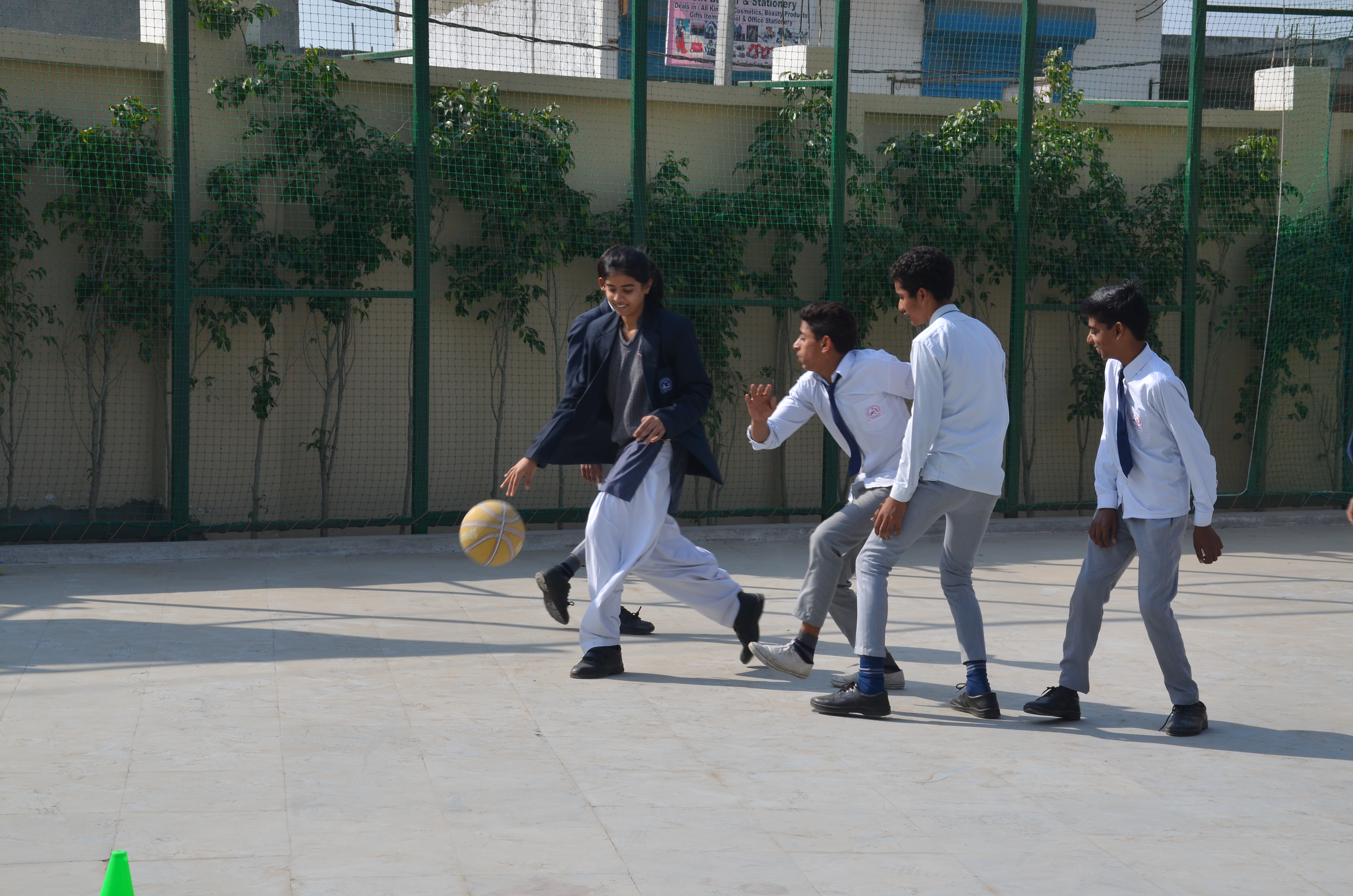 Education Background